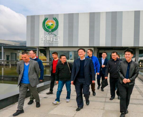 集团党委书记、董事长任丁率队调研聚峰谷